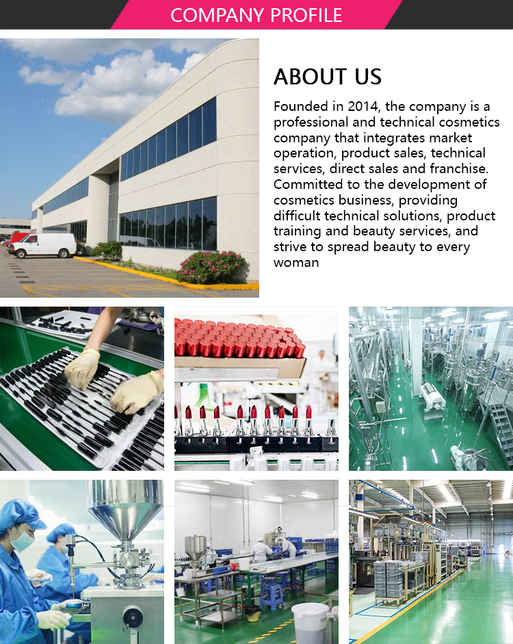 Company Introduction Part 2