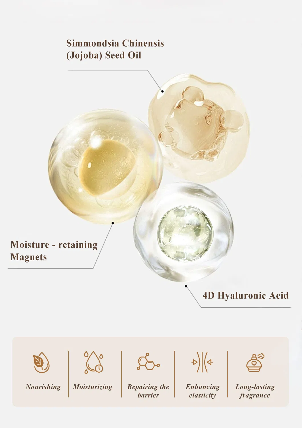 Dreamy Fragrance Anti-Aging Triple Seed Oil · Dreamy Fragrance Body Lotion