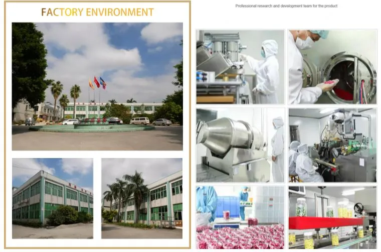 Production Line