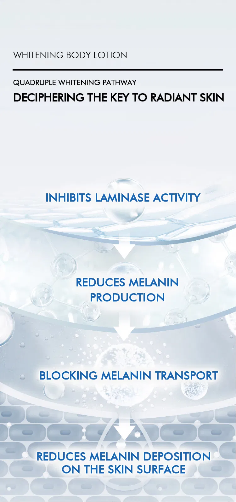 Body Care Detail 5