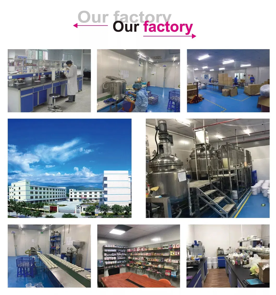 Cosmetics Factory Production Base