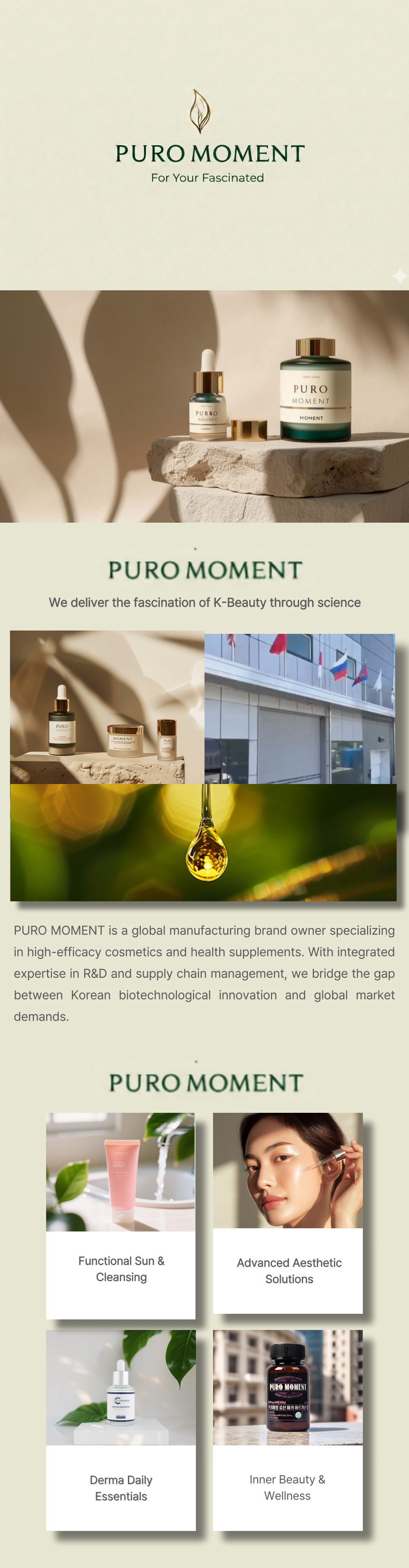 Company Information Visual