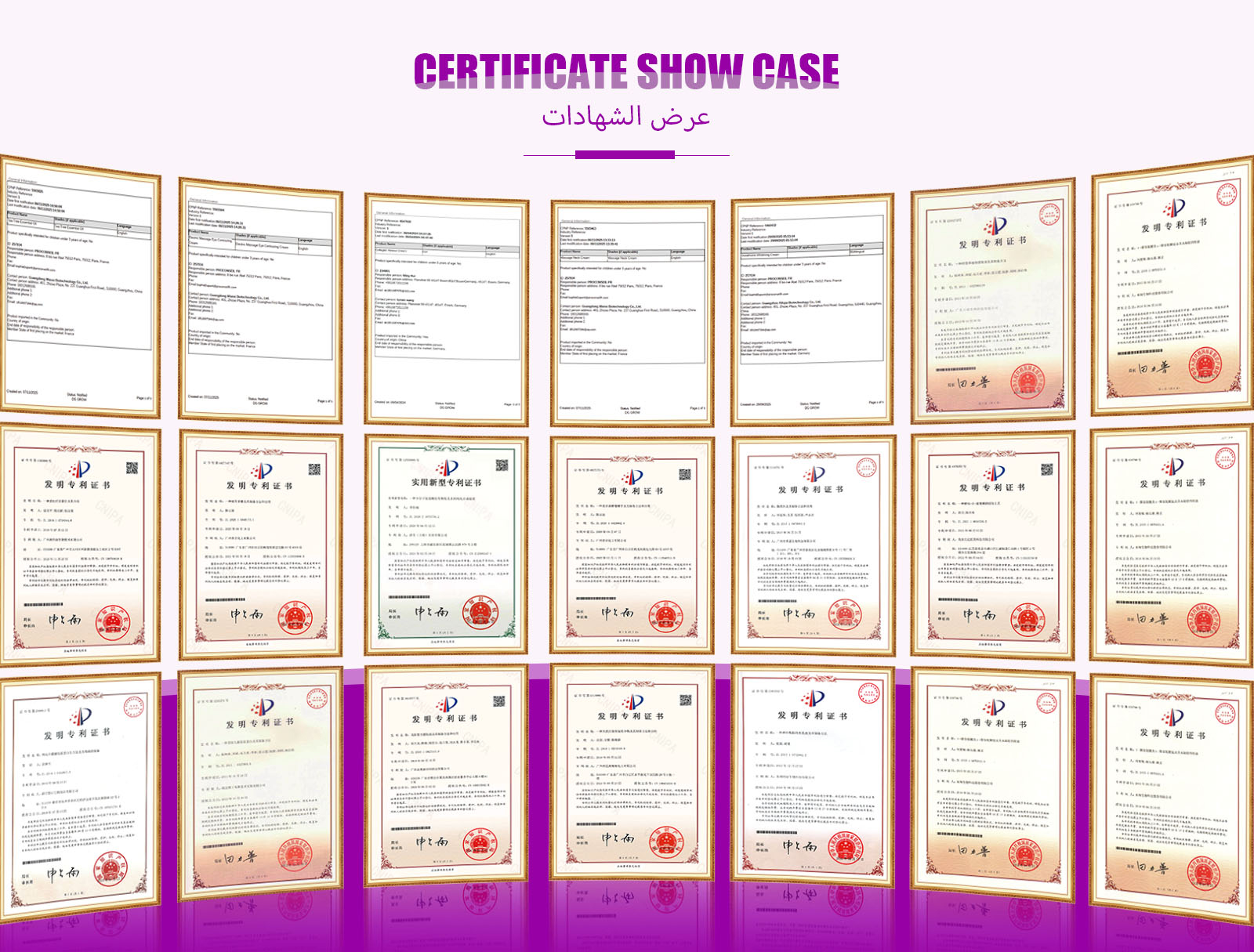 Company Overview 5