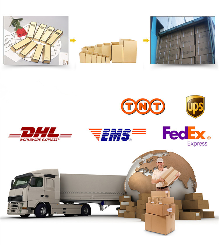 Shipping Logistics