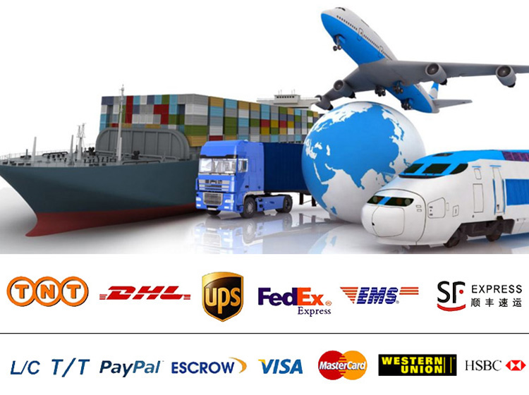 Shipping and Payment Methods