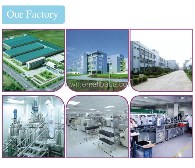 Factory Production Area