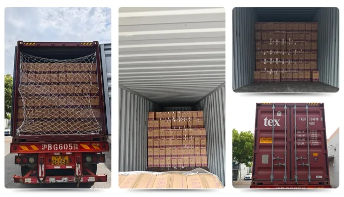 Shipping Logistics