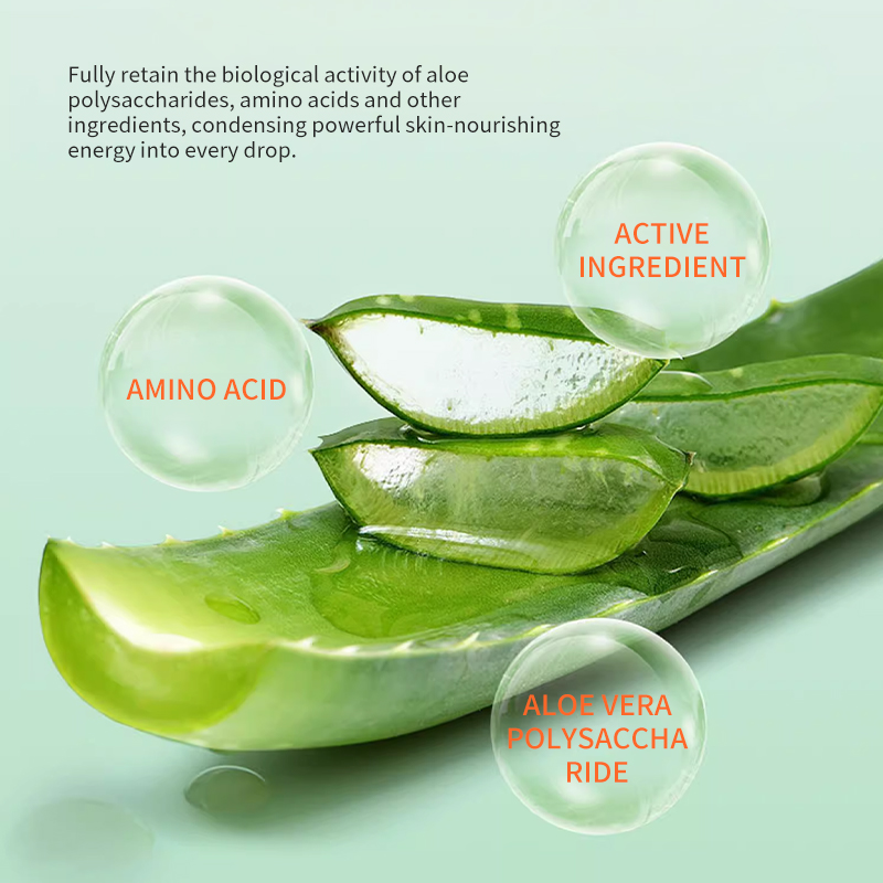 Private Label SheDiary Aloe Vera Butter Body Lotion Cream Moisturizing Whitening Soothing Brightening Milk Body Lotion for Women
