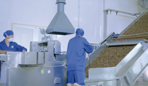 Yam Industry Chain 1