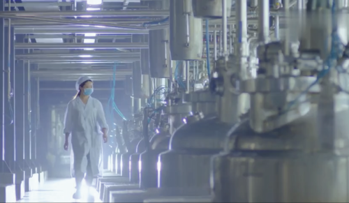 Yam Industry Chain 2