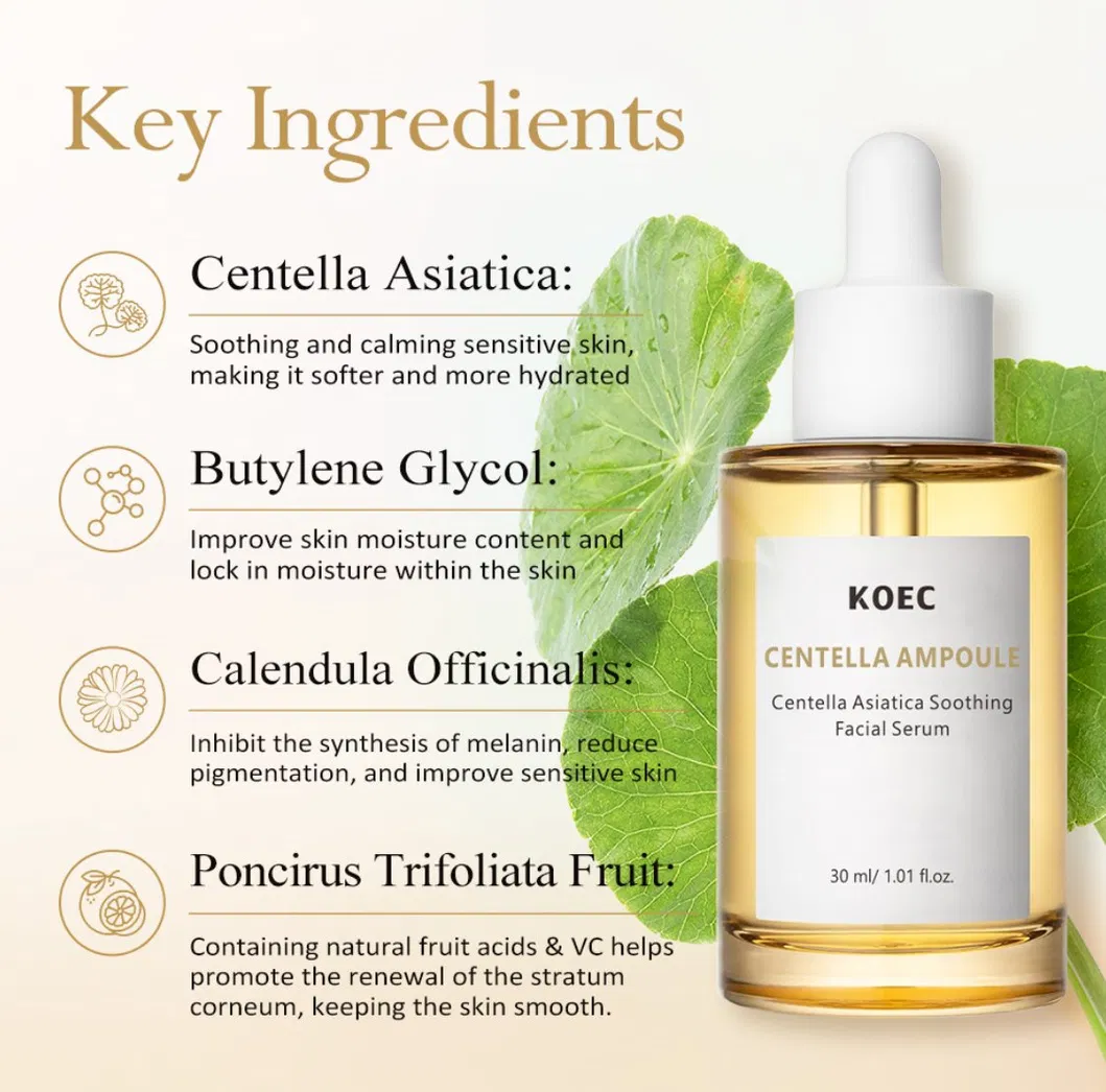 Calming Serum Green Tea Serum Moisturizing Sensitive UV Irritated Skin Daily Korean Skin Care Centella Asiatica Tone Brightening Anti-Aging Facial Serum