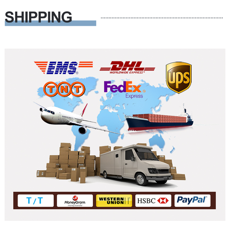Shipping Methods and Delivery Information