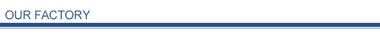 Section Divider