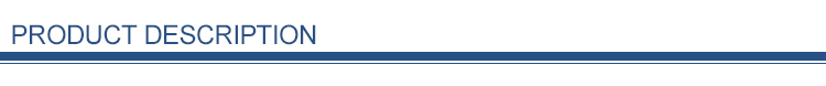 Section Divider