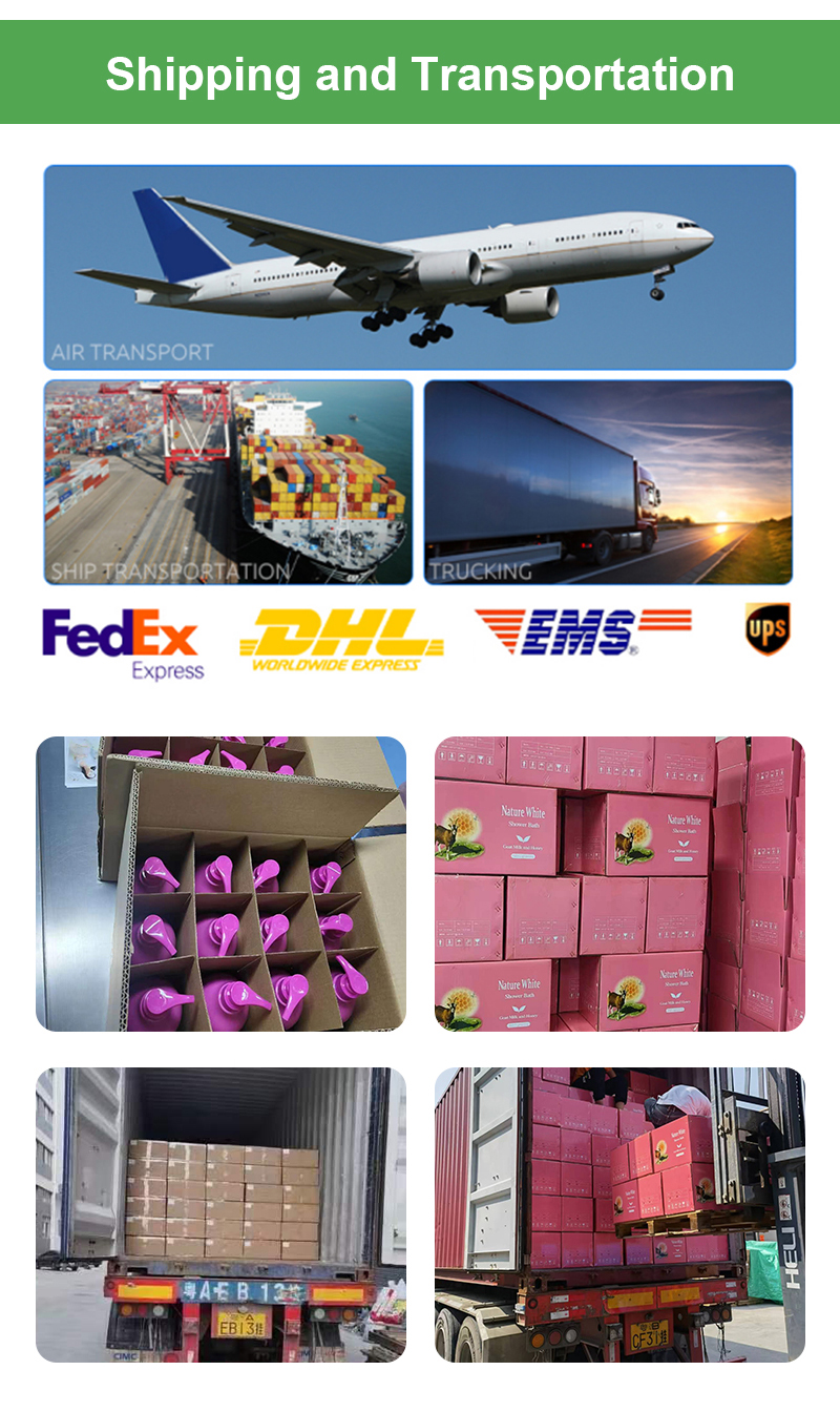 Company Image 5