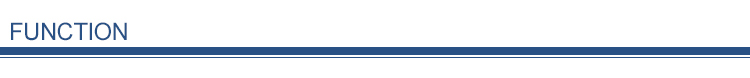 Section Divider