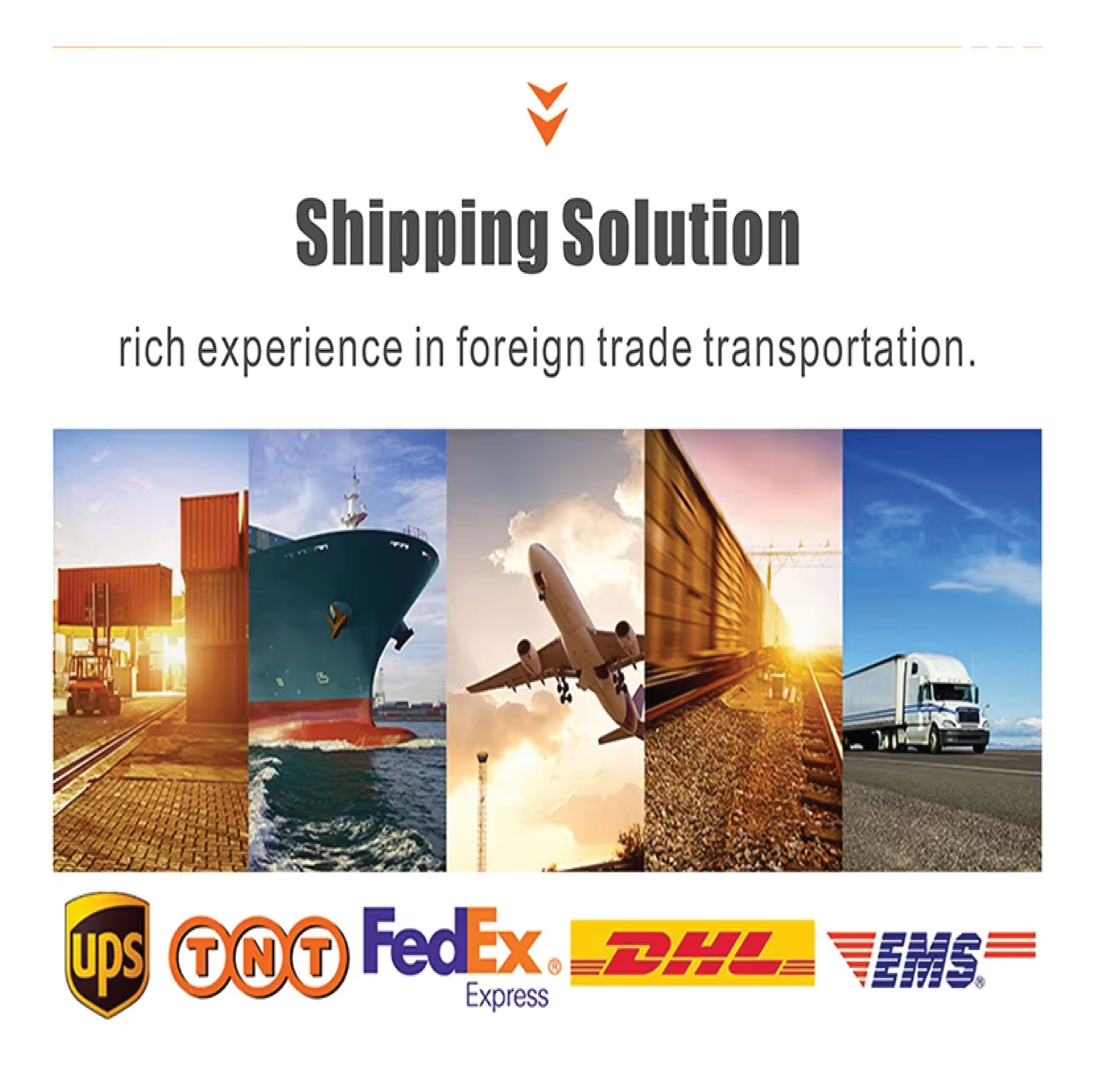 Shipping Options and Logistics