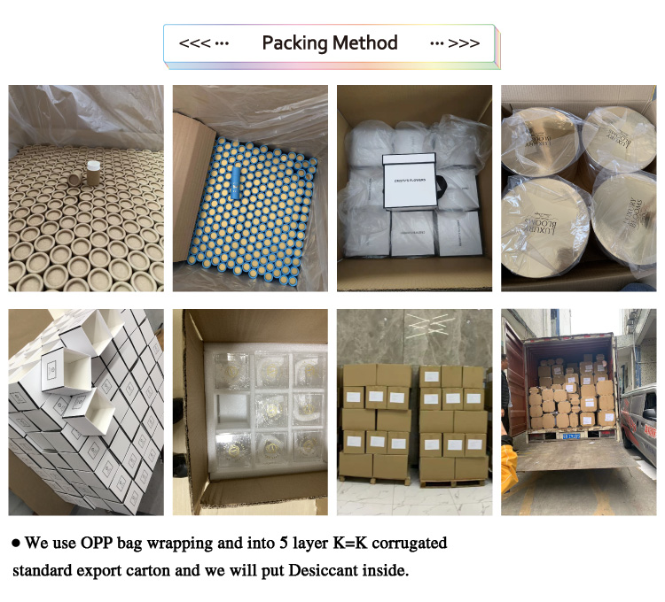 Packaging Detail 1