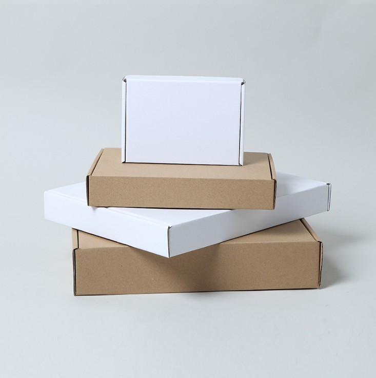 Custom Eco-Friendly Biodegradable Recyclable White Kraft Mailing Gift Boxes for Seeds and Plant Packages
