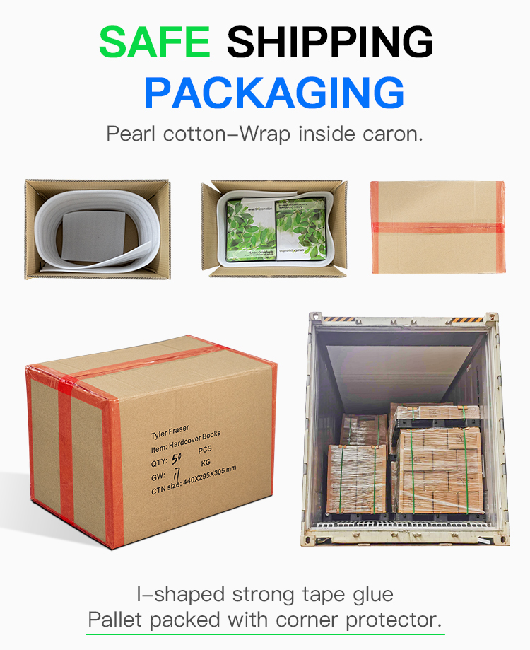 Packaging and Logistic Process
