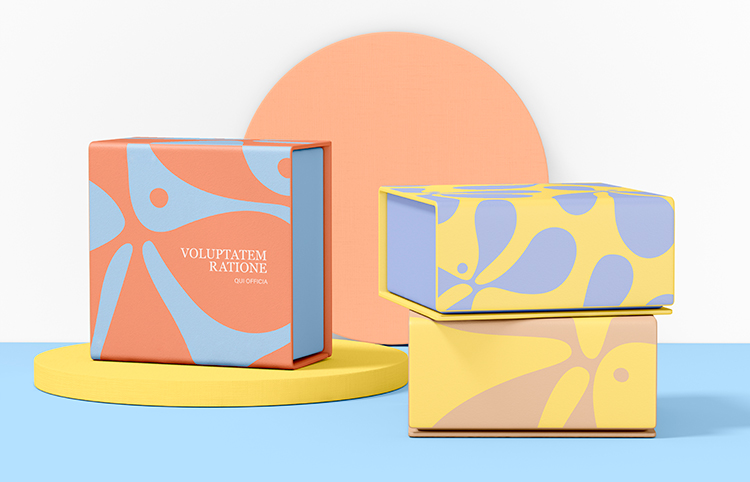 Product Showcase 5