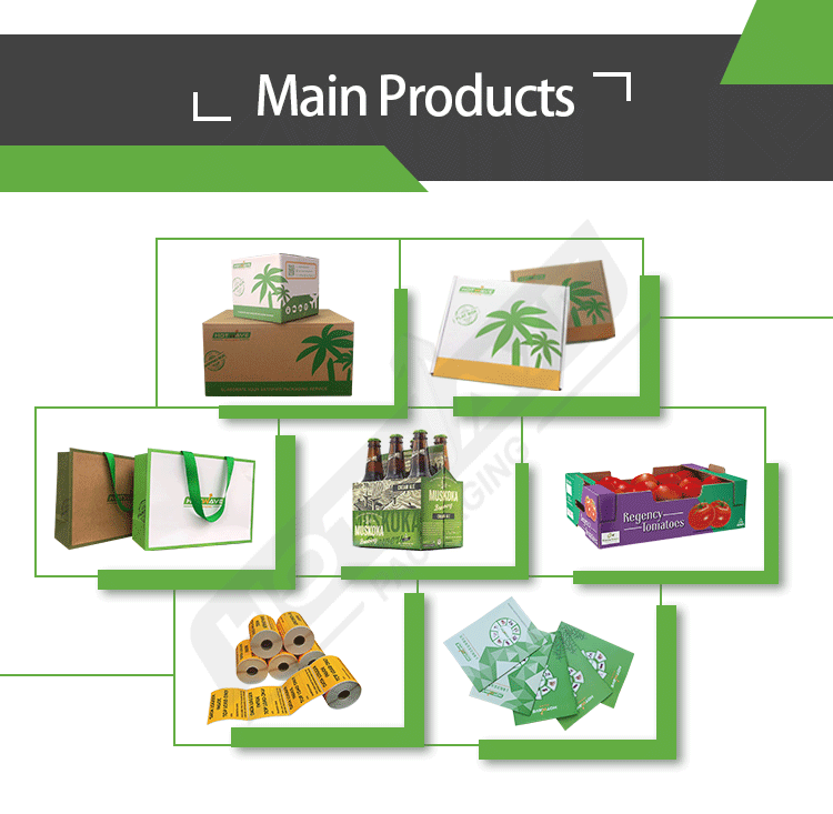 Product ranges showcase including cartons, bags, wine boxes, and custom packaging