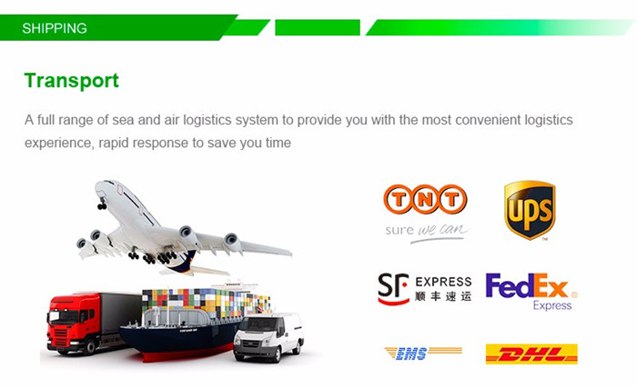 Global Delivery Logistics