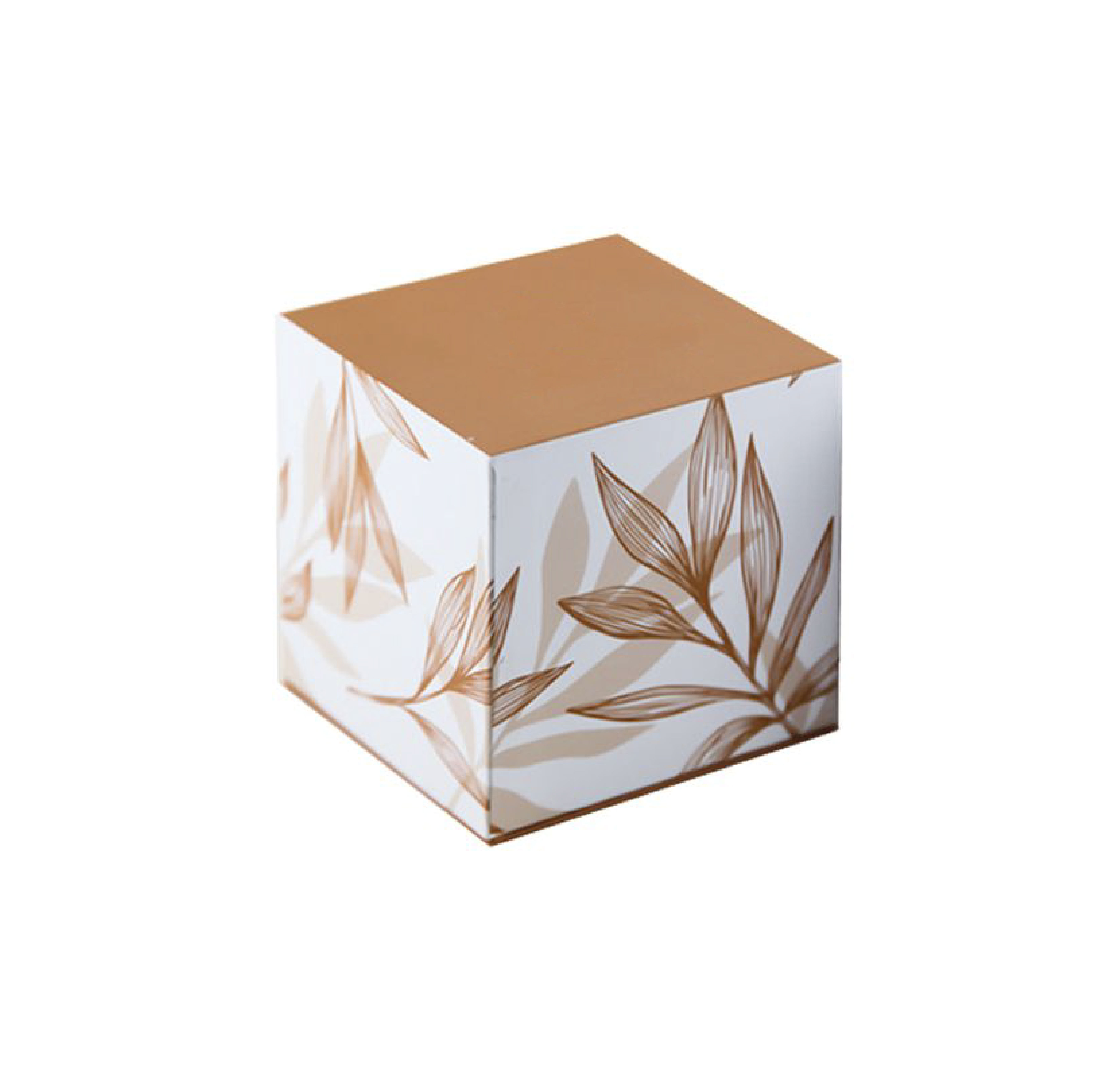 Packaging Box Sample 5