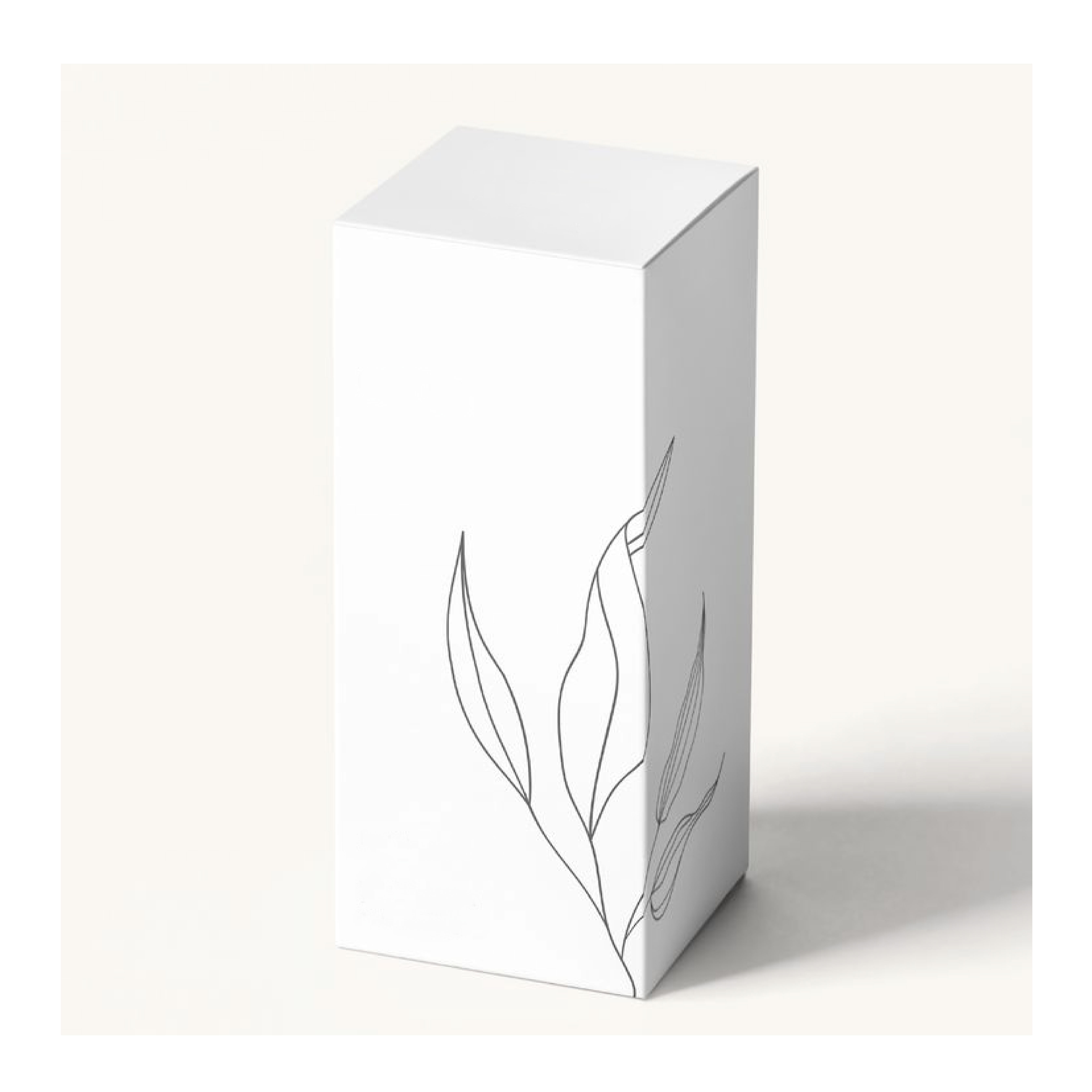 Packaging Box Sample 6