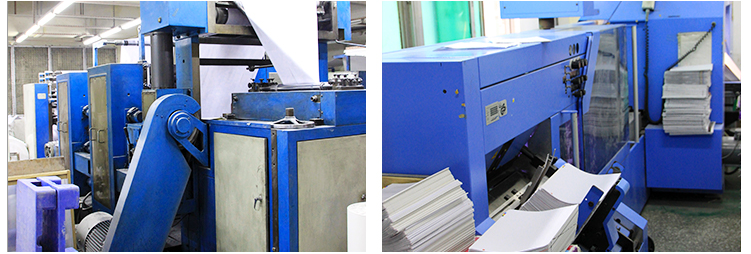 Rotary Press 2-Colors