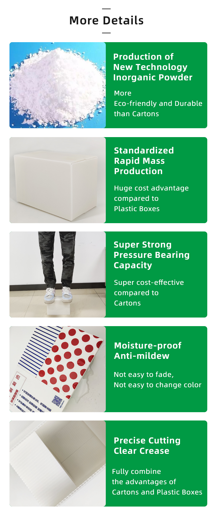 Product Showcase 6
