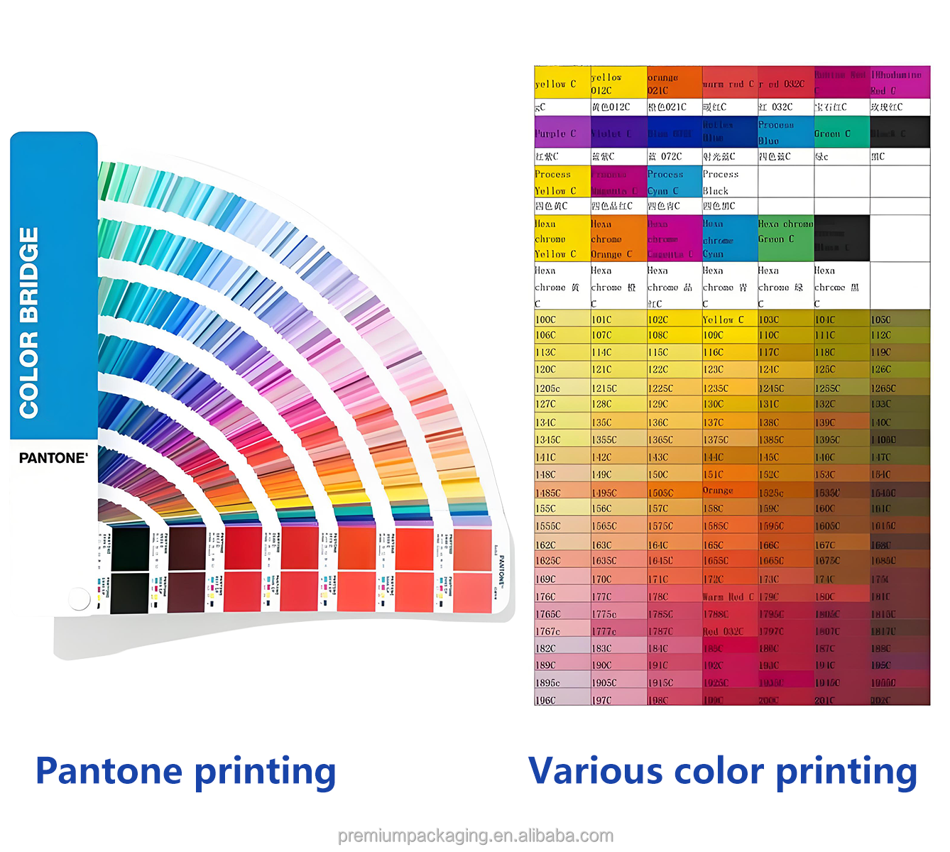 Step 3 Printing Color