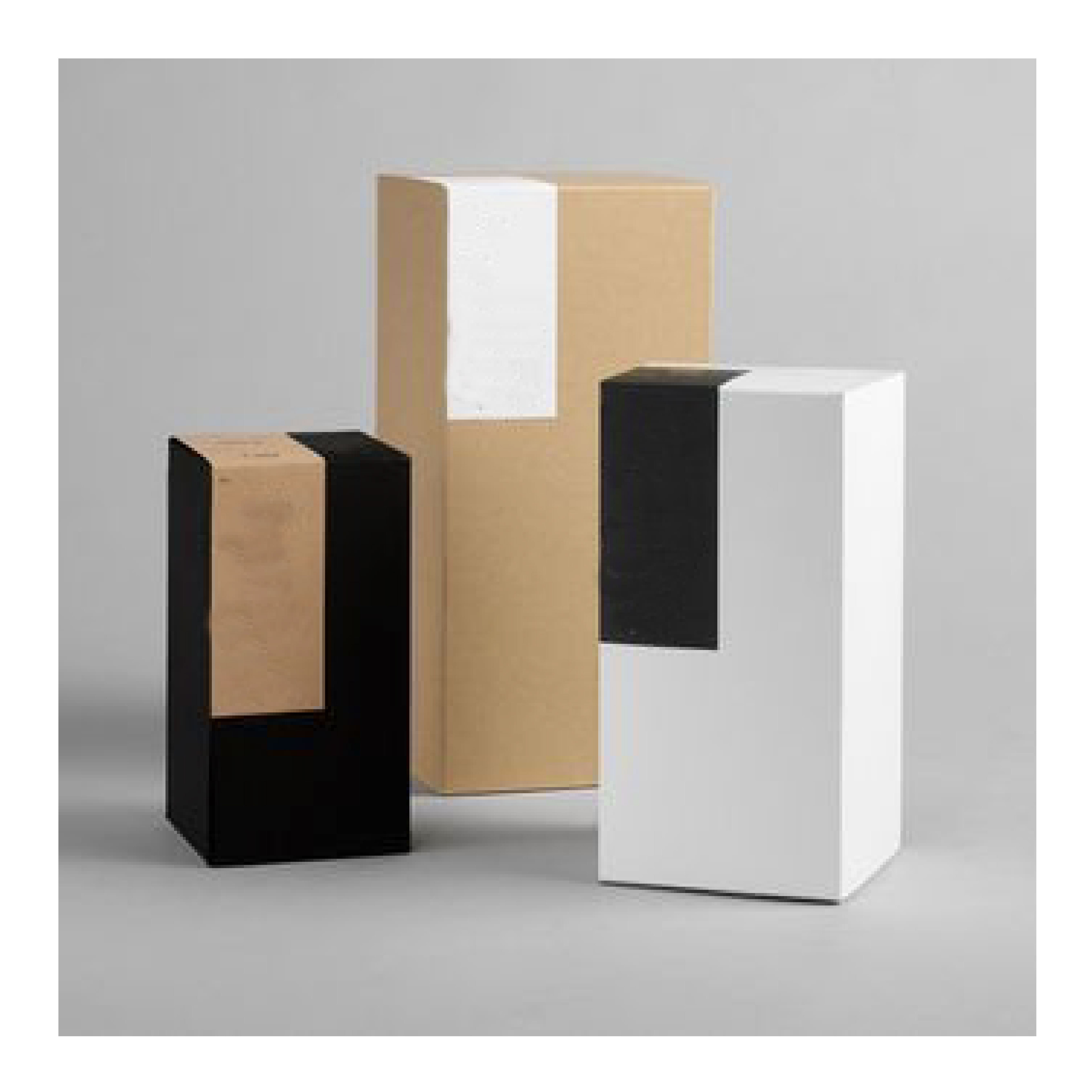 Carton Packing Process