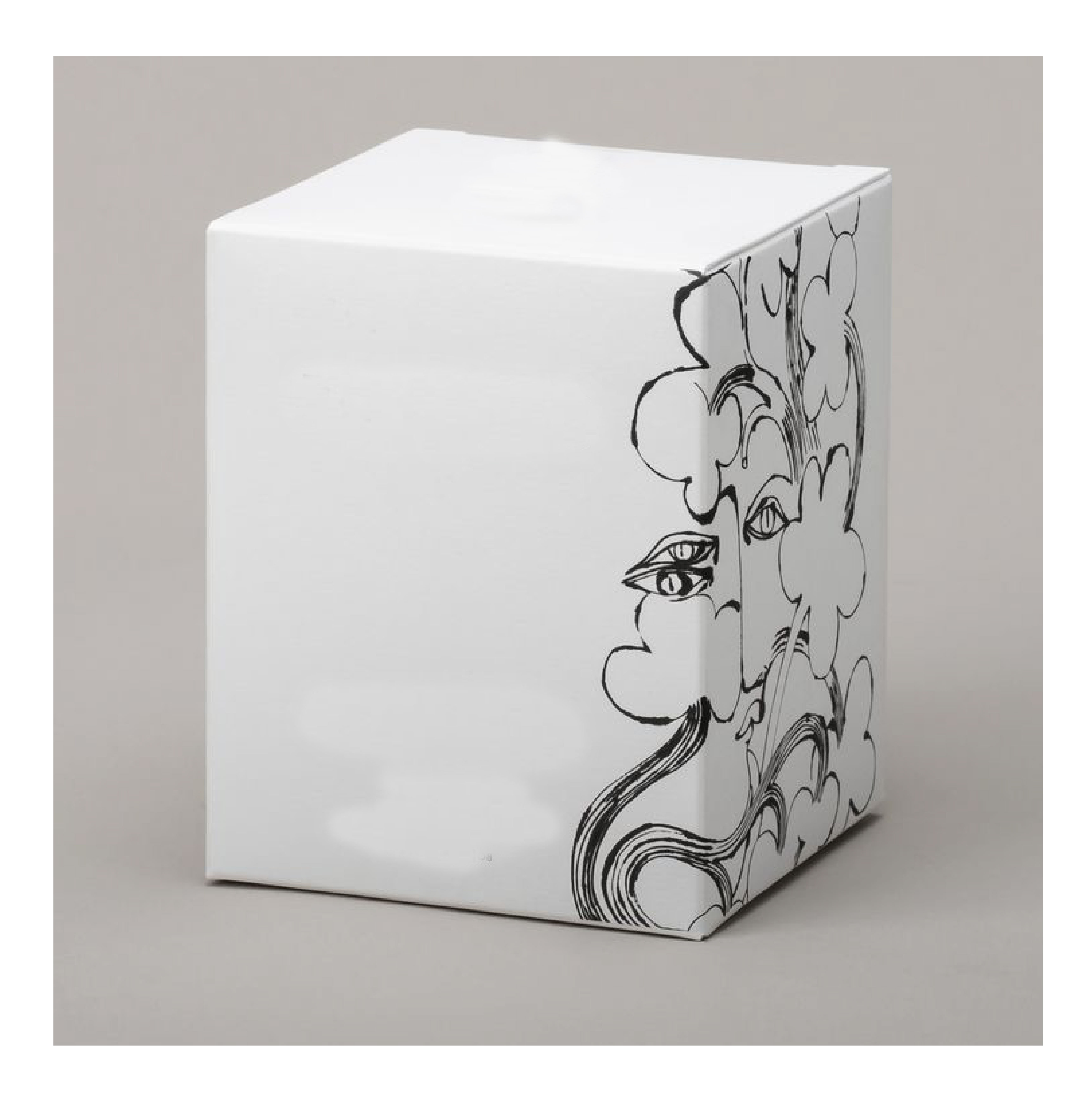 Packaging Box Sample 3