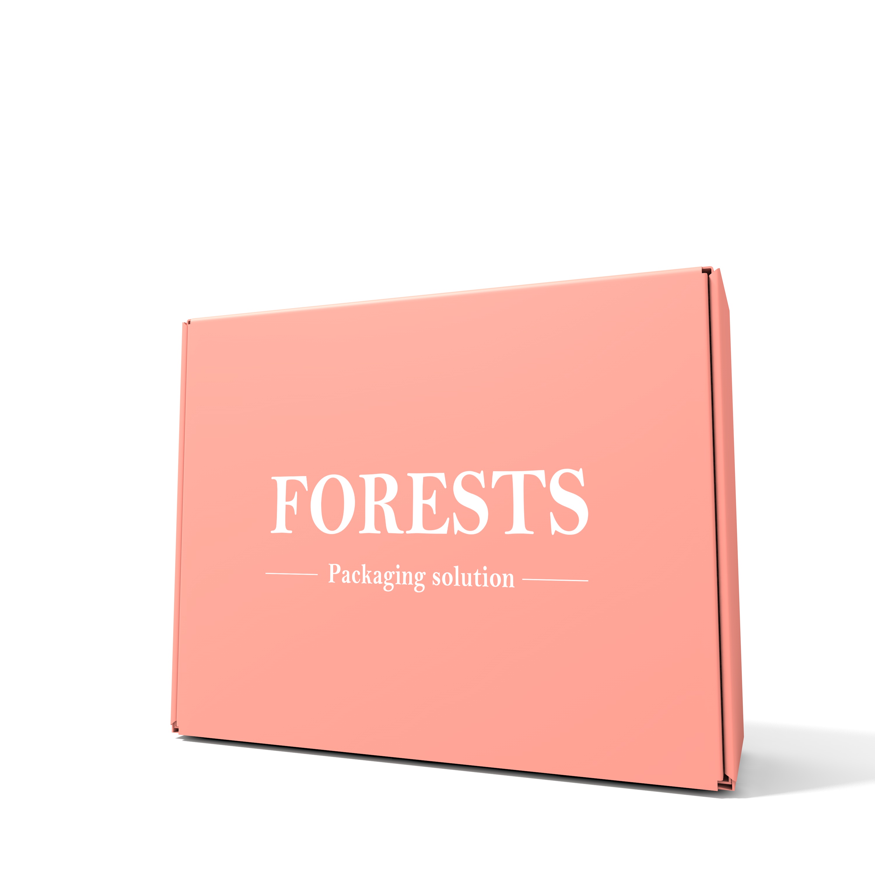 Custom Printed Folding Gift Packaging Box for Retail Subscription and E-commerce Mailing Packaging
