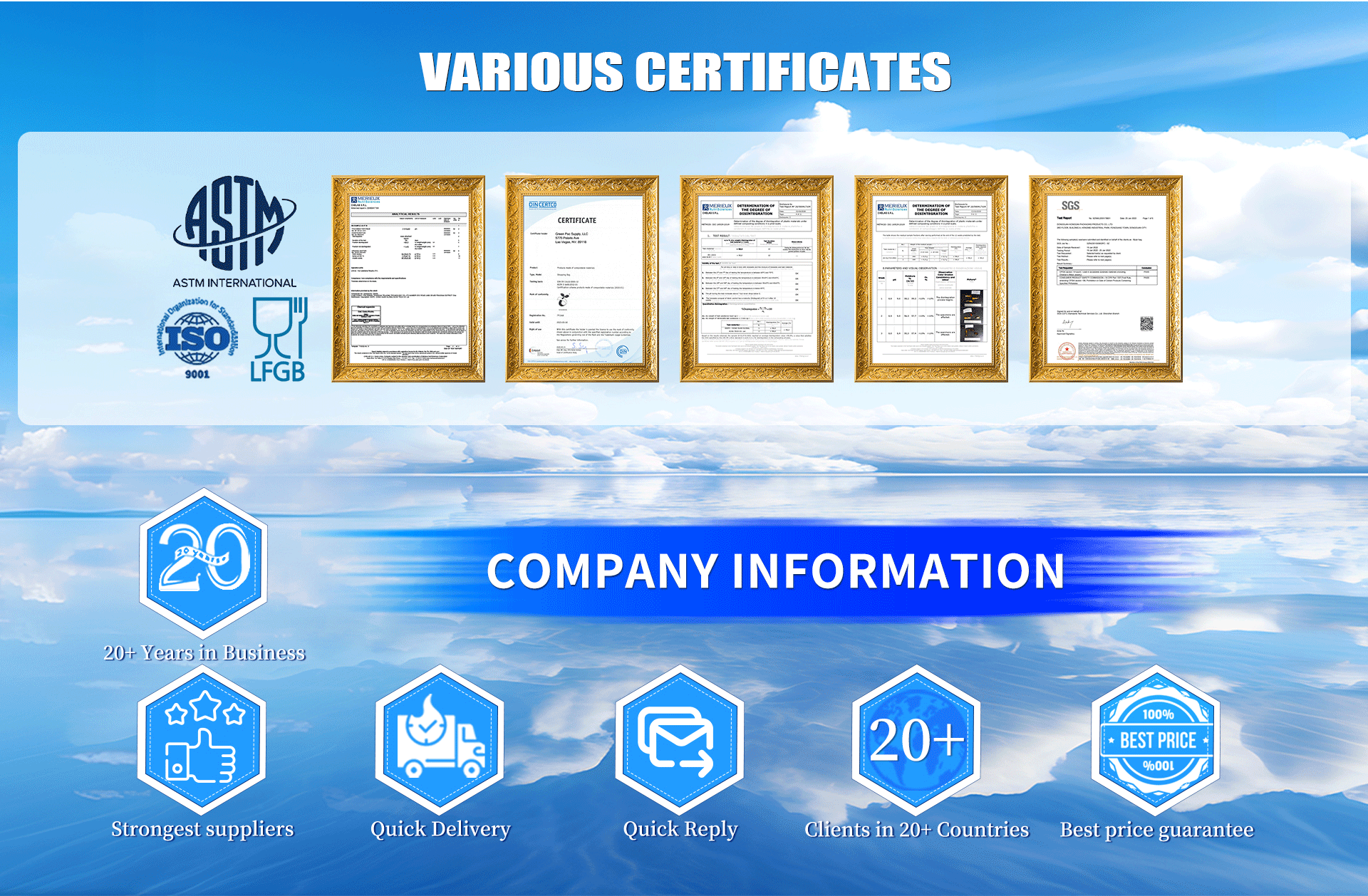 Company Profile