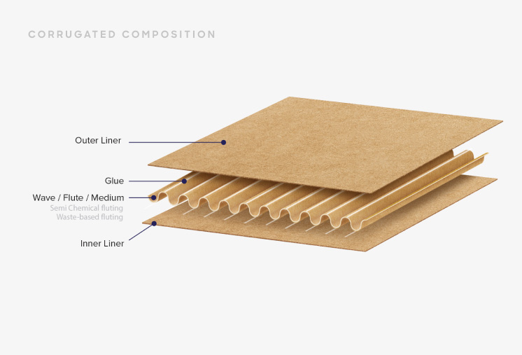 Packaging Material options 1