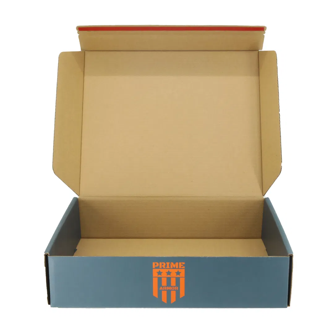 Fashion Logo Printed Gift Box Mailer Packaging Box Cardboard Shipping Retail Box