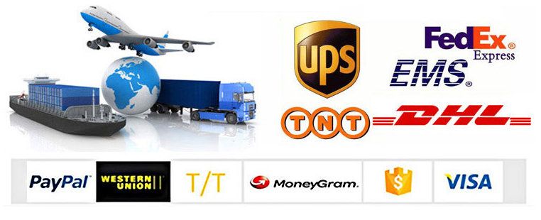 Logistics and payment options