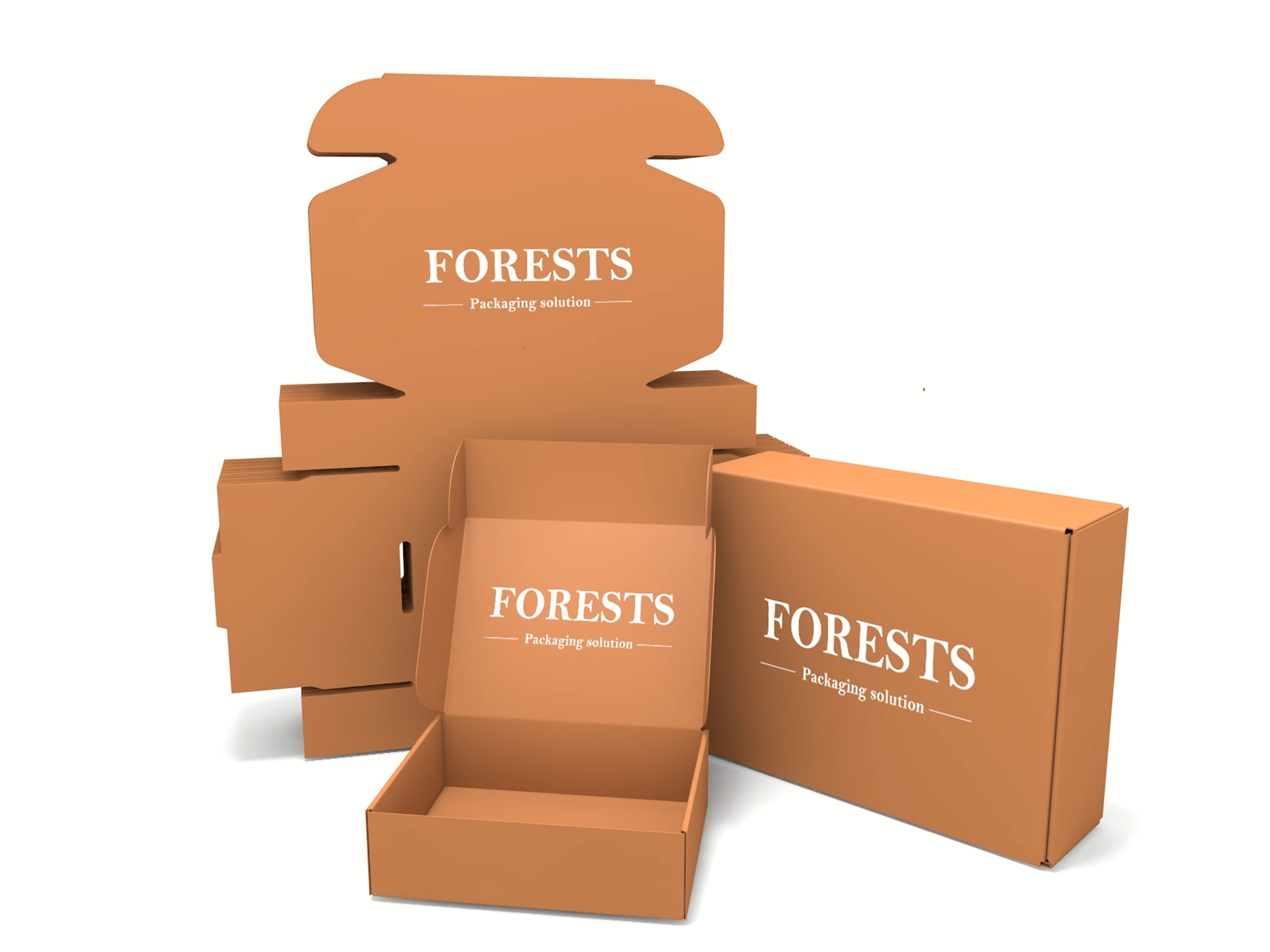 Custom Printed Folding Gift Packaging Box for Retail Subscription and E-commerce Mailing Packaging