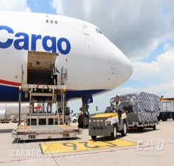 By Air Freight