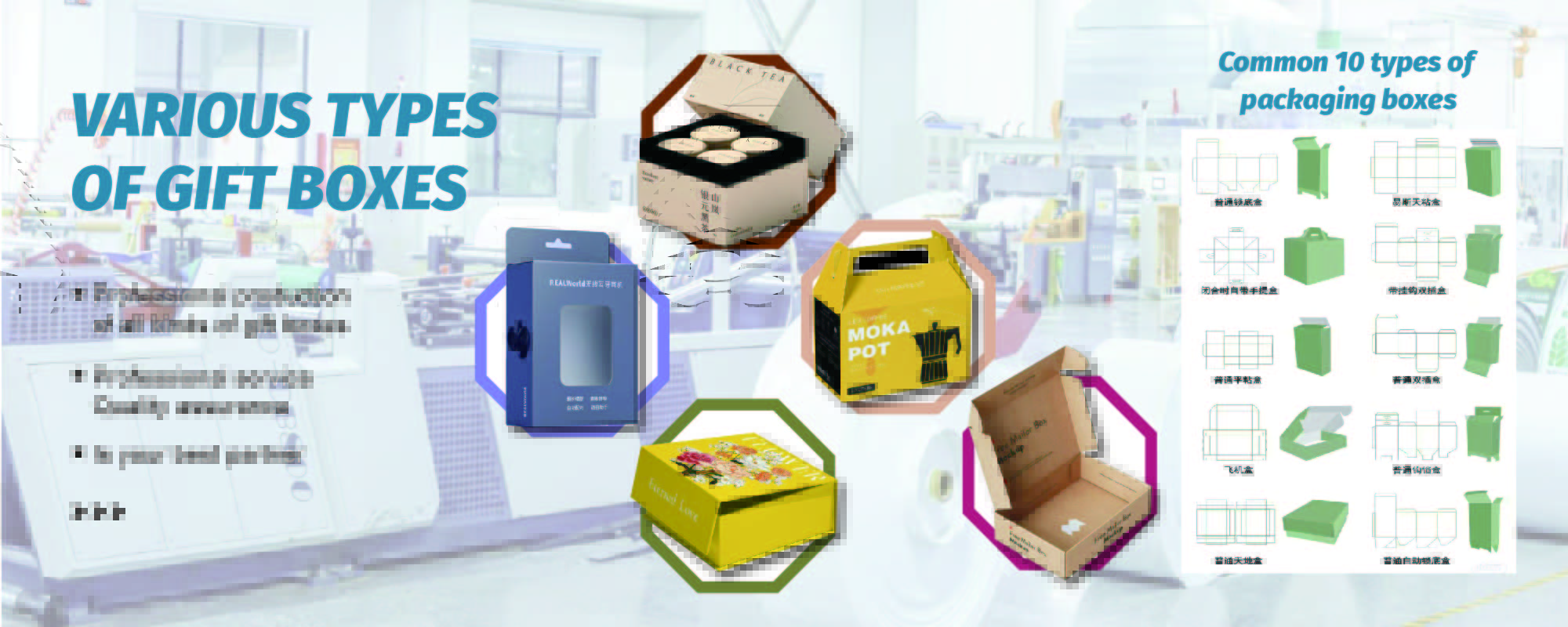 Product Detail 7