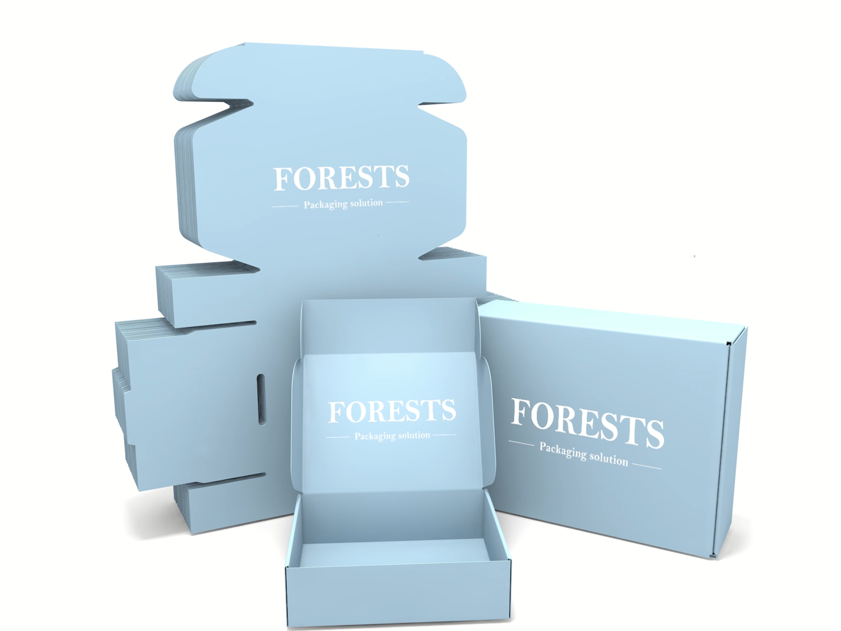 Custom Printed Folding Gift Packaging Box for Retail Subscription and E-commerce Mailing Packaging
