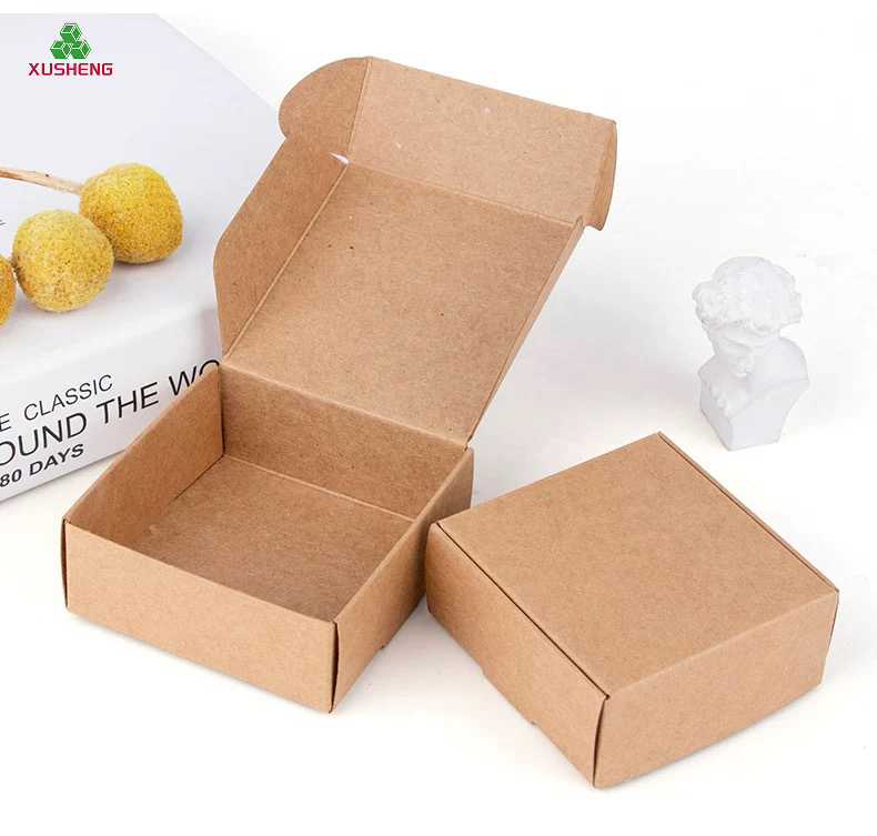Eco-Friendly Biodegradable Recyclable Packaging Boxes with Handle and Embossing for Shoes &amp; Watch Gifts Mailing
