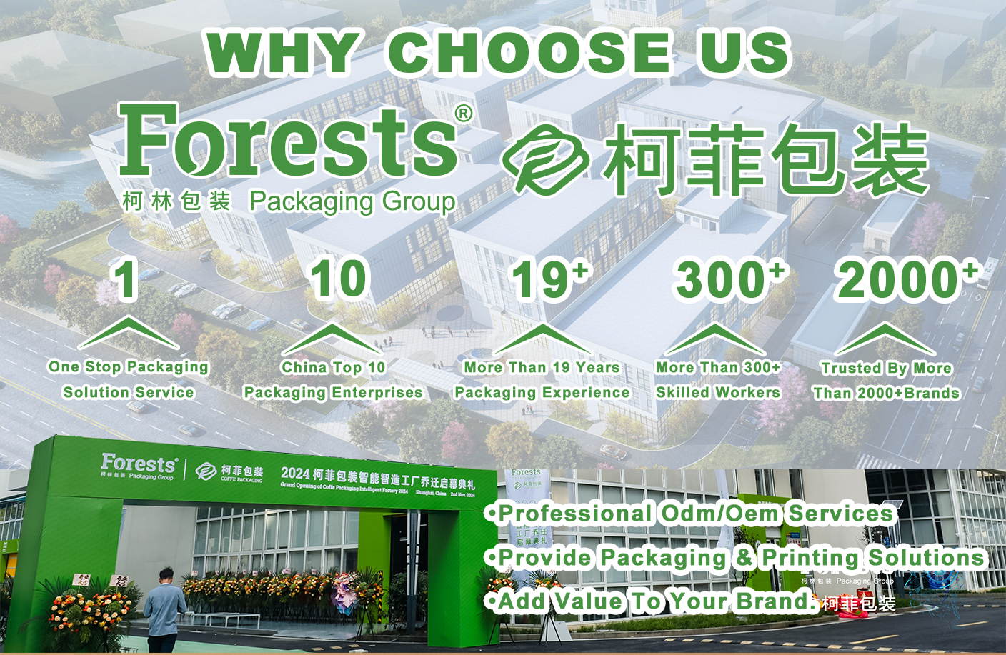 Why Choose Us Advantages