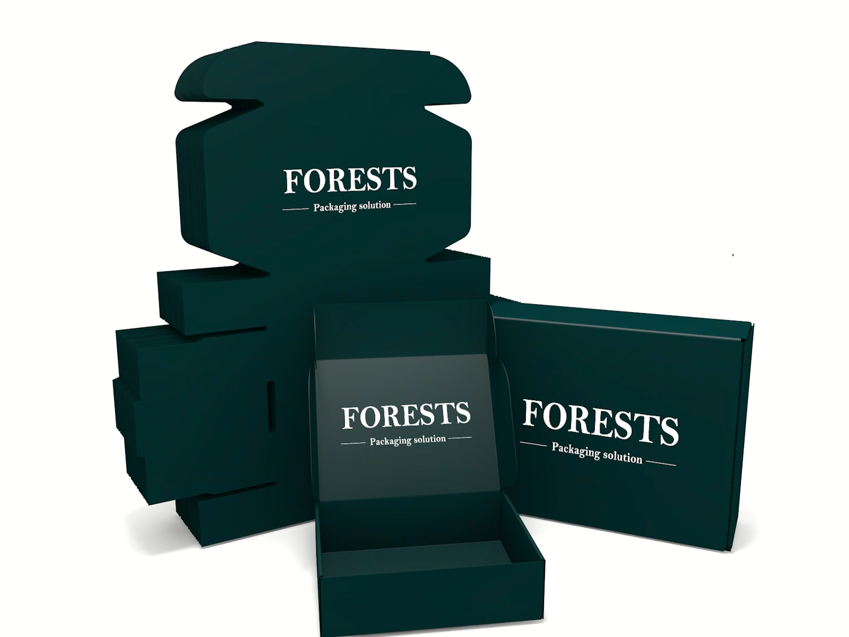 Custom Printed Folding Gift Packaging Box for Retail Subscription and E-commerce Mailing Packaging