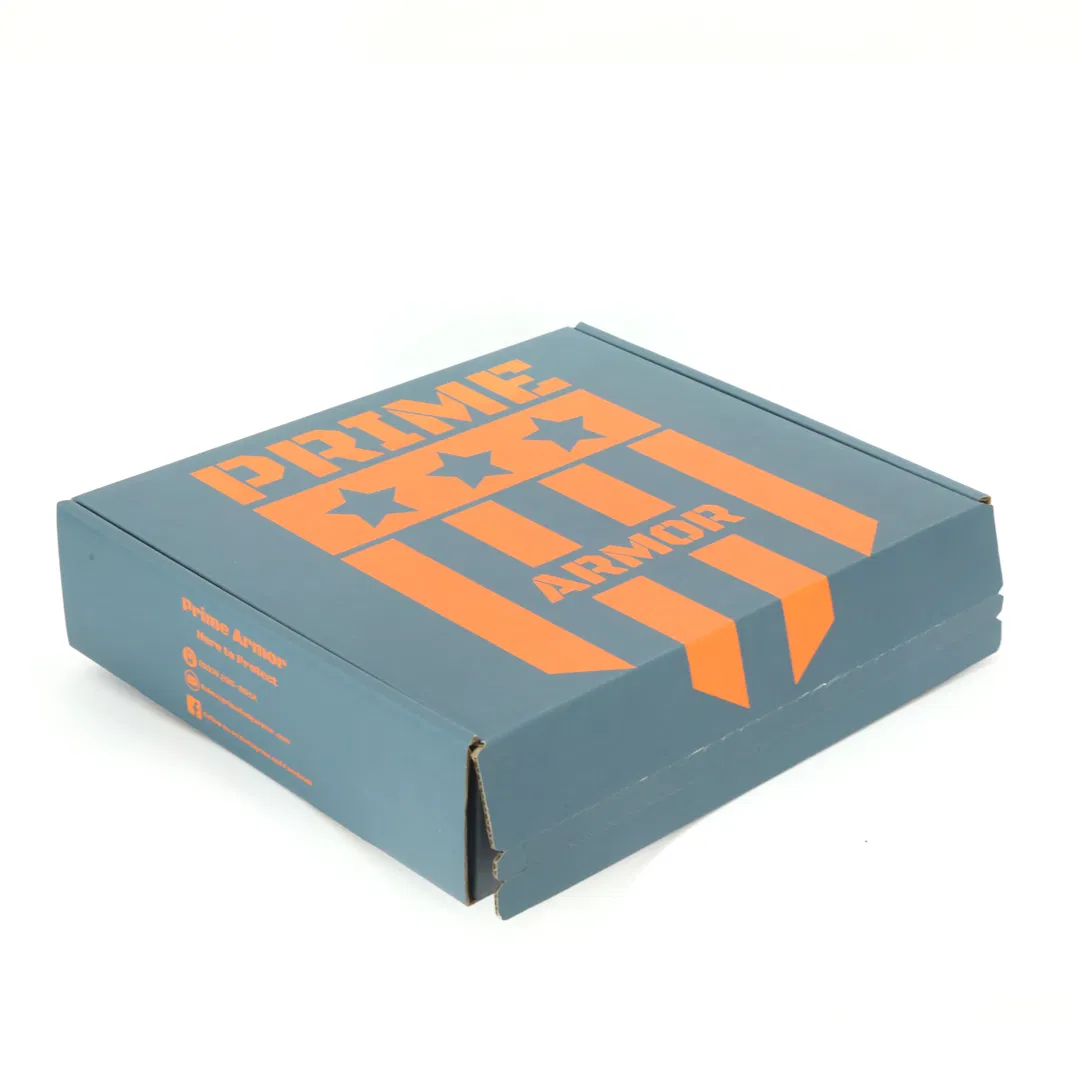 Fashion Logo Printed Gift Box Mailer Packaging Box Cardboard Shipping Retail Box