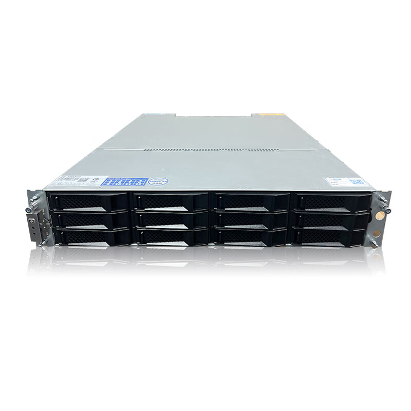 Hybrid Flash NAS Dual Control 2U12 25 SAS AS2150G2 Network Switch Storage Disk Array Data Center Storage Network Storage Server