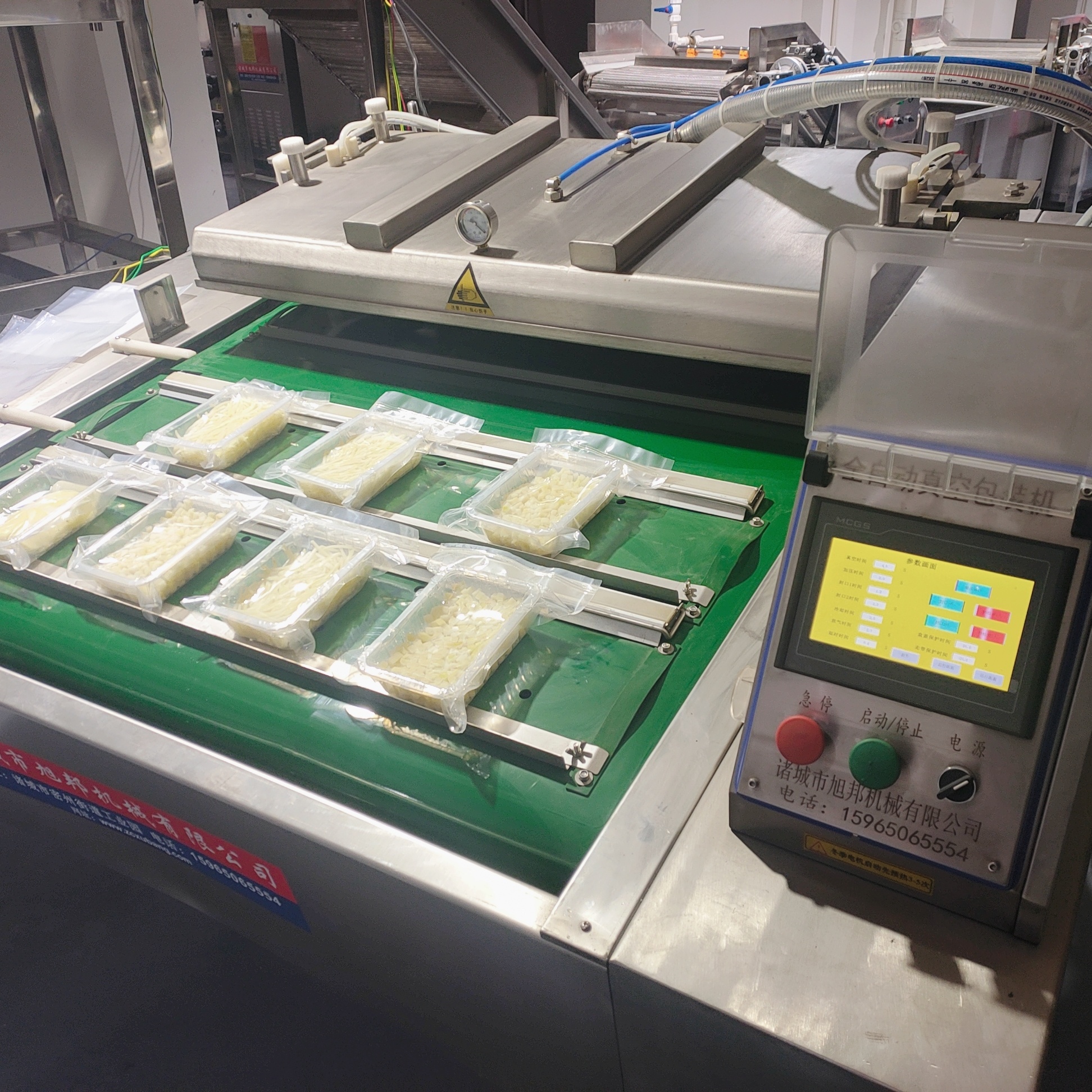 High-precision Vacuum Control Conveyor Belt Vacuum Packing Machine for Marinated Products Processing
