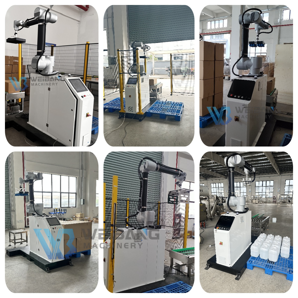 WB-MD20 Palletizer Robot